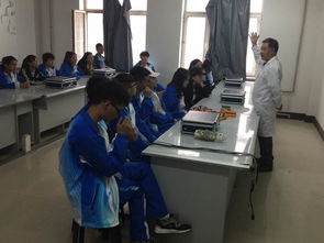 入学教育新篇章 参观实习工厂与实验室，开启教育咨询服务